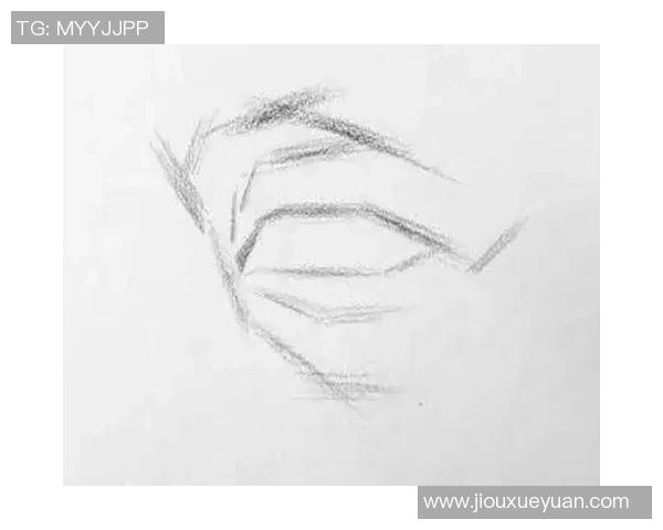 如何绘制世界杯足球球星肖像技巧与步骤解析